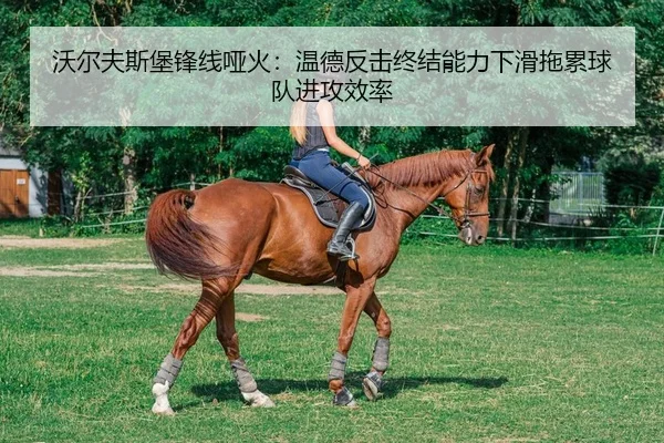 沃尔夫斯堡锋线哑火：温德反击终结能力下滑拖累球队进攻效率