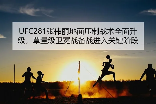 UFC281张伟丽地面压制战术全面升级，草量级卫冕战备战进入关键阶段